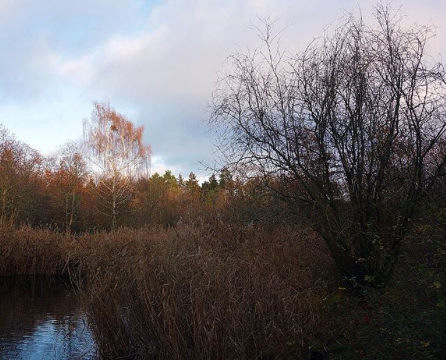 Volkspark Hasenheide — view 3.