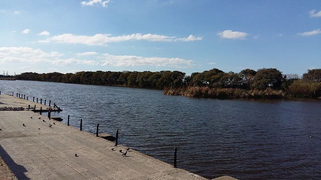 Reserva Ecológica Costanera Sur — view 2.