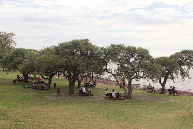 Reserva Ecológica Costanera Sur — view 3.