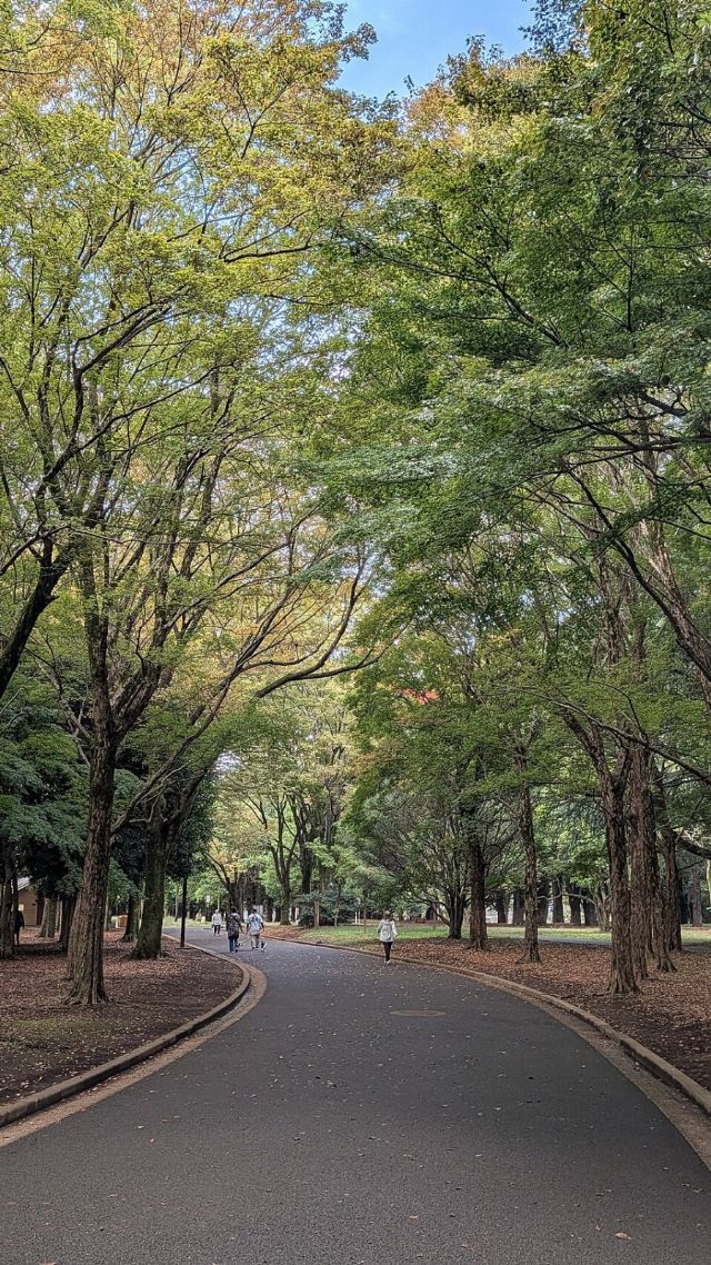 Yoyogi Park — view 3.