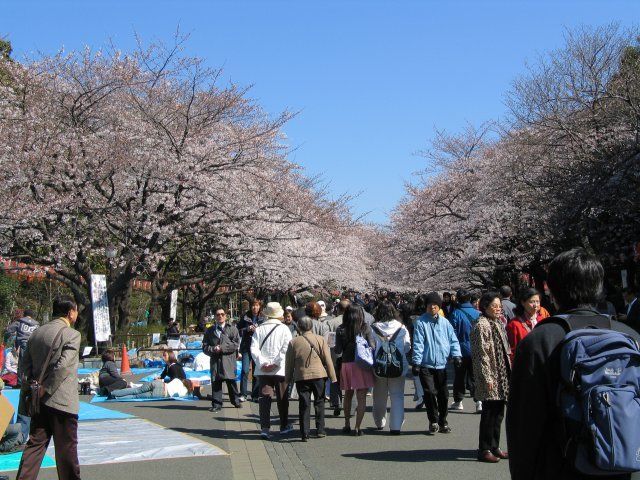 Ueno Park — view 1.