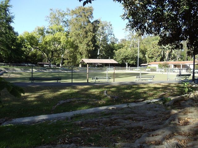 Holmby Park — view 2.