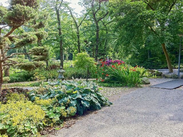 Amstelpark — view 2.