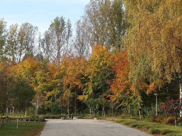 Amstelpark — view 3.