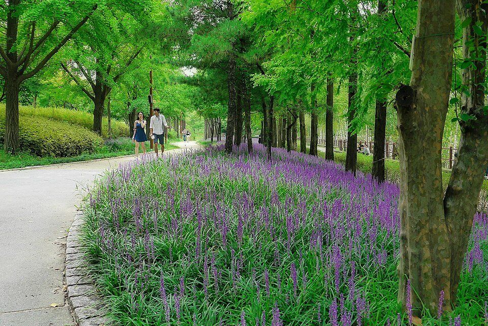 Seonyudo Park — view 1.