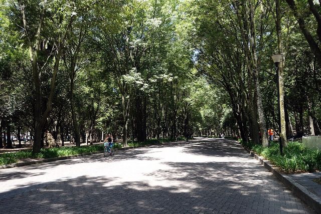 Parque Masayoshi Ohira — view 3.