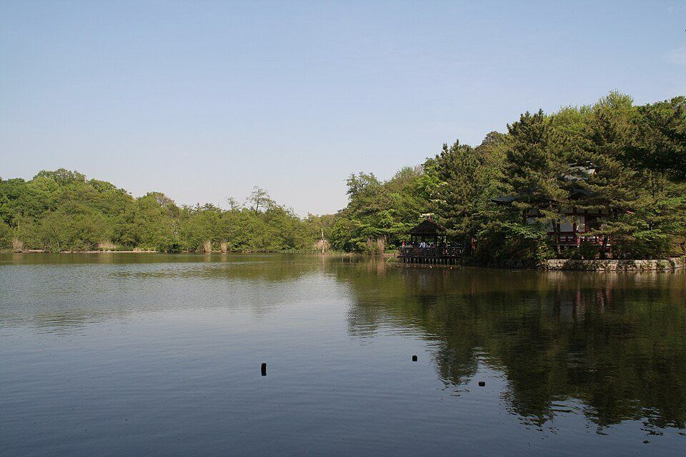 Shakujii Park — view 1.