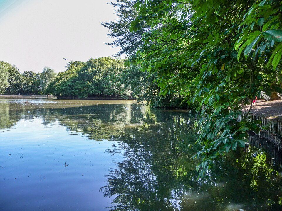 Alexandra Park — view 1.