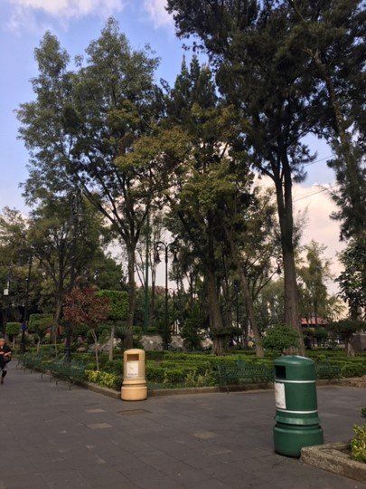 Plaza Hidalgo — view 3.