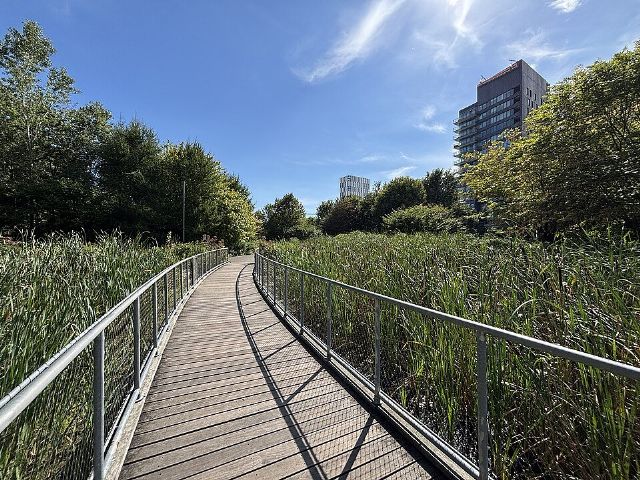 Corktown Common — view 3.