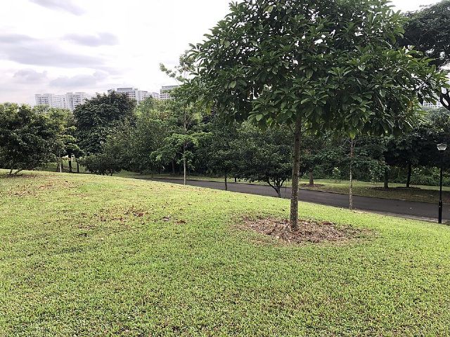 Sengkang Riverside Park — view 3.