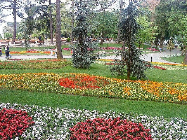 Emirgan Grove — view 2.