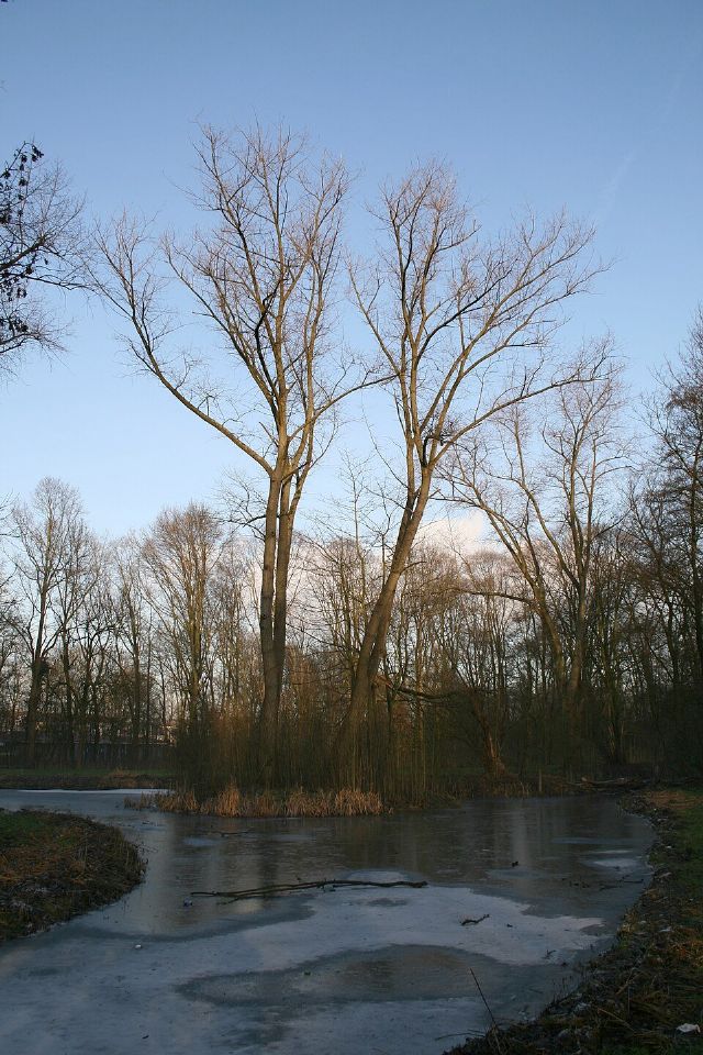 Vliegenbos — view 2.