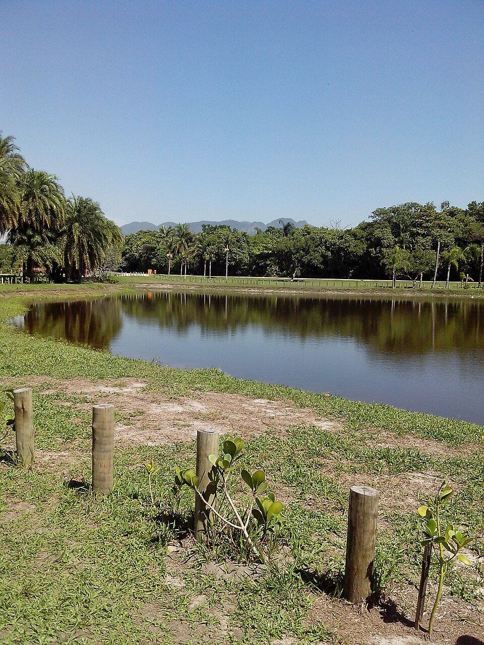 Bosque da Barra — view 1.