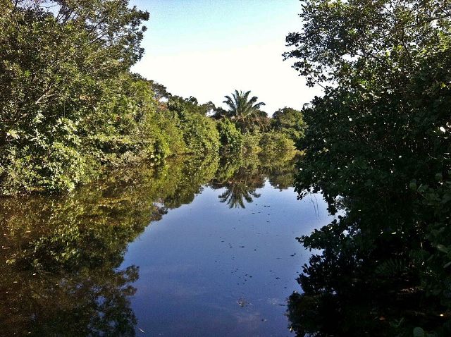 Bosque da Barra — view 2.