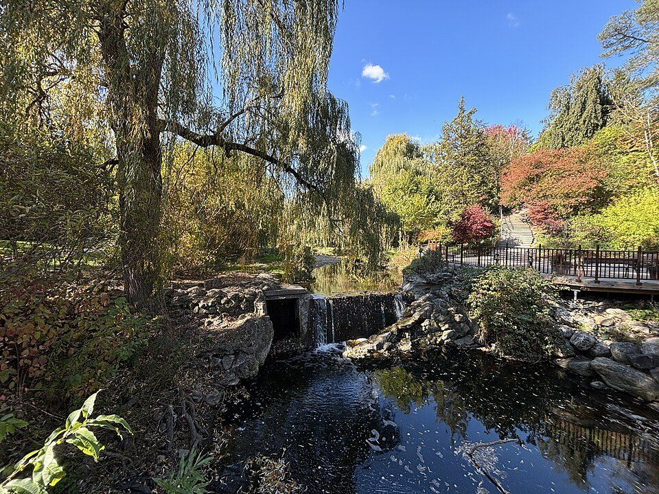 Edwards Gardens — view 1.