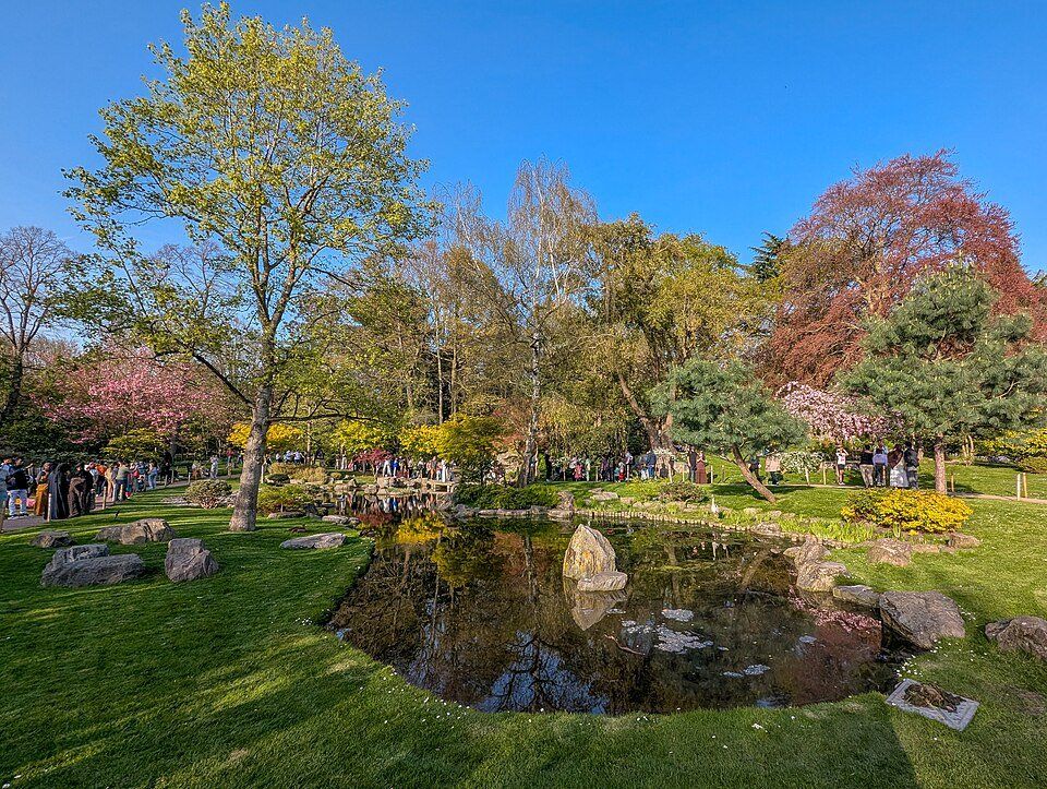 Holland Park — view 1.