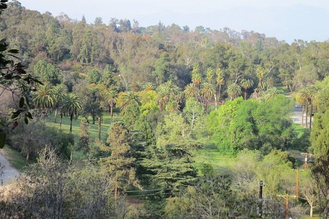 Elysian Park — view 2.