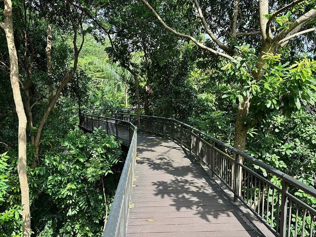 Kent Ridge Park — view 2.