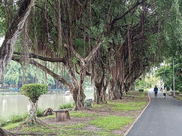 Seri Thai Park — view 2.
