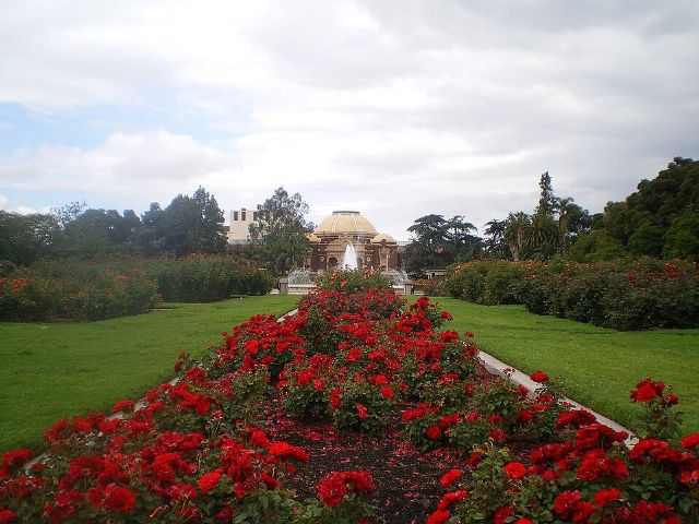 Exposition Park Rose Garden — view 2.
