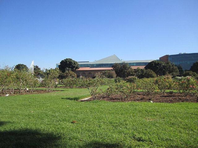 Exposition Park Rose Garden — view 3.