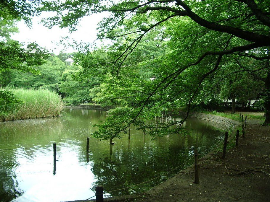 Zenpukuji Park — view 1.