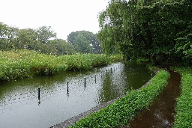 Zenpukuji Park — view 2.