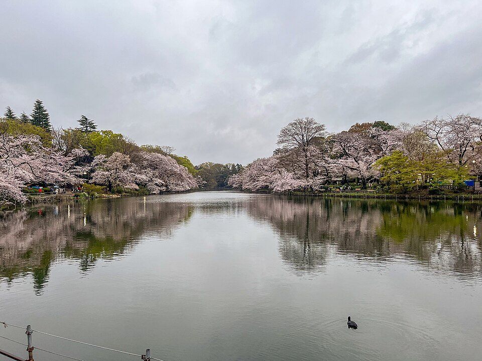 Inokashira Park — view 1.