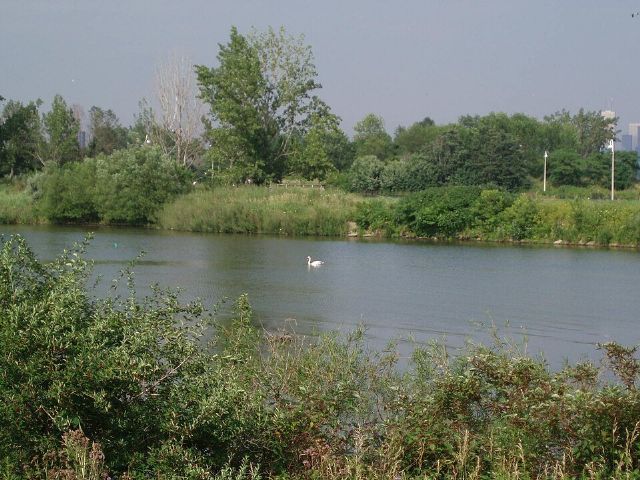 Humber Bay Park — view 3.