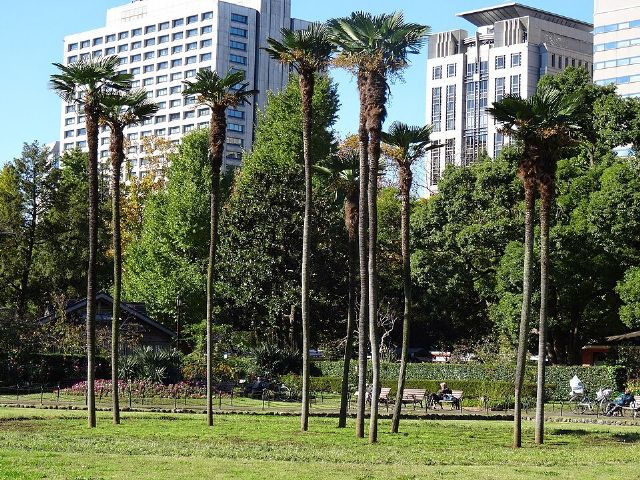 Hibiya Park — view 2.
