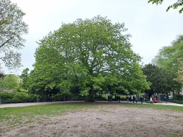 Wertheimpark — view 2.