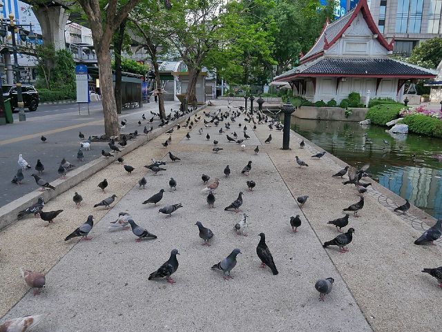 Benchasiri Park — view 3.
