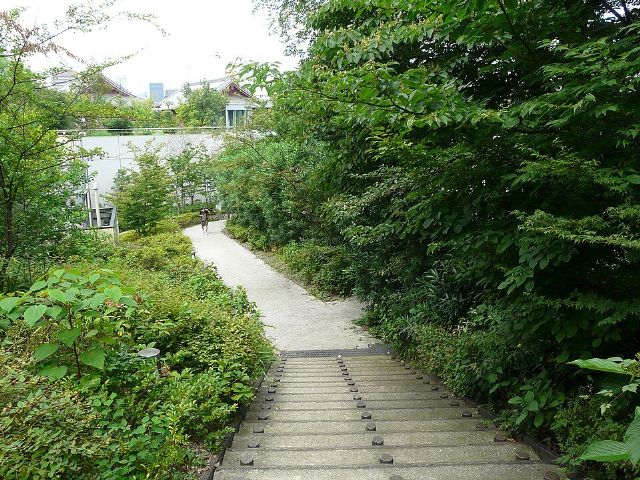 Shiba Park — view 2.