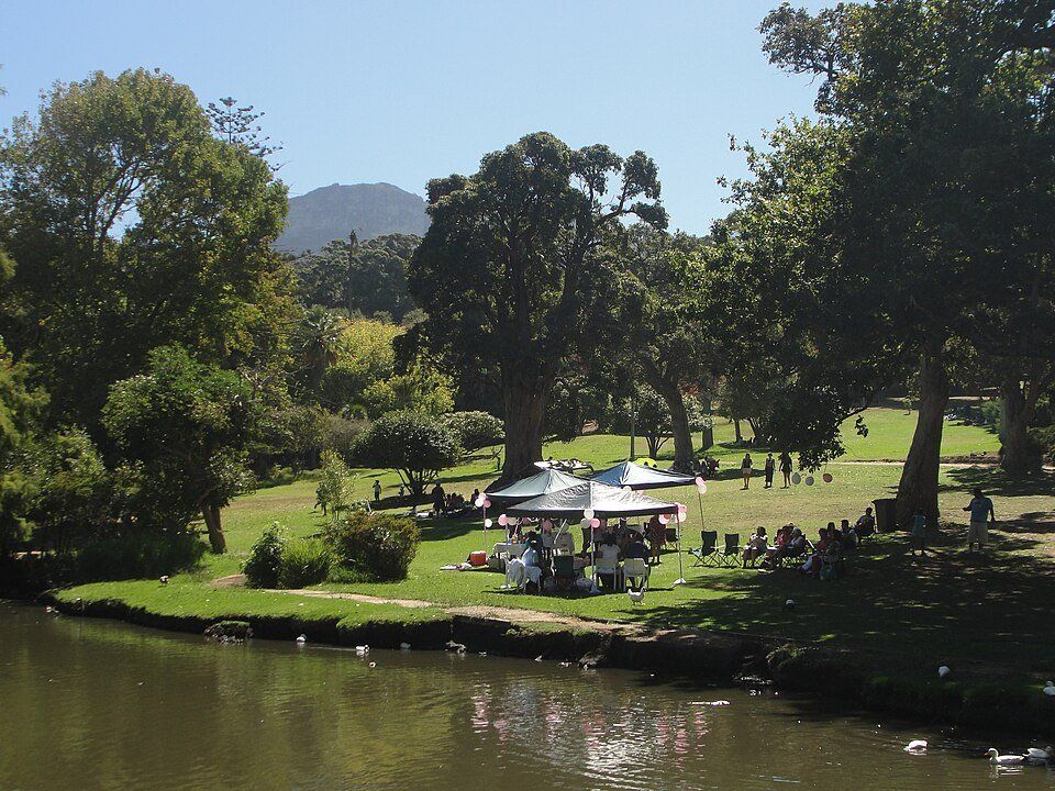 Wynberg Park — view 1.