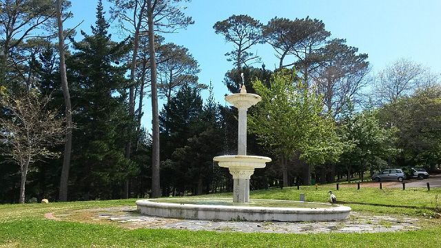 Wynberg Park — view 2.