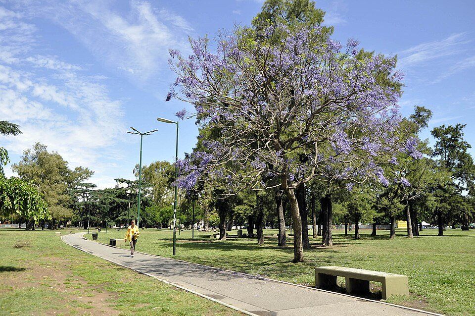 Parque Saavedra — view 1.