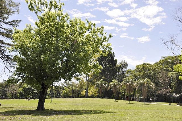 Parque Saavedra — view 3.