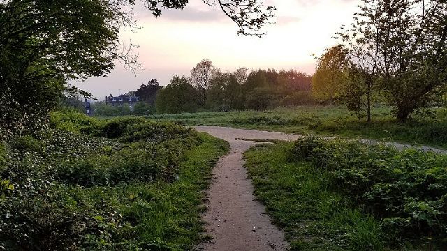 Hampstead Heath — view 3.