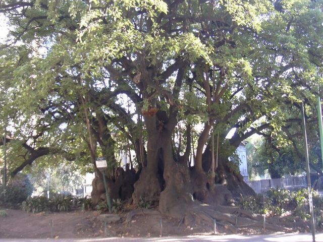 Plaza Barrancas de Belgrano — view 2.