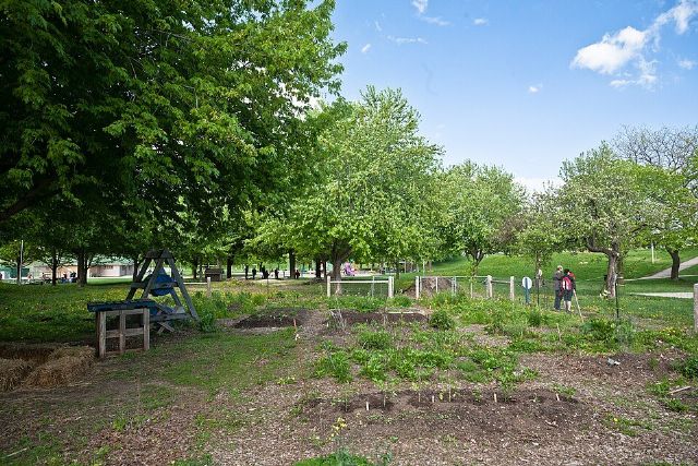 Christie Pits Park — view 2.