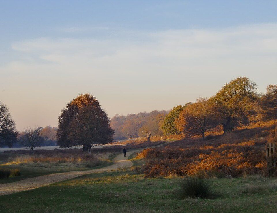 Richmond Park — view 1.