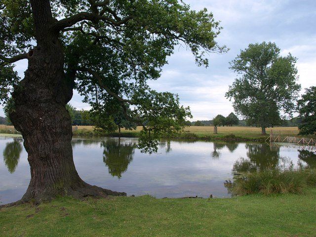 Richmond Park — view 3.