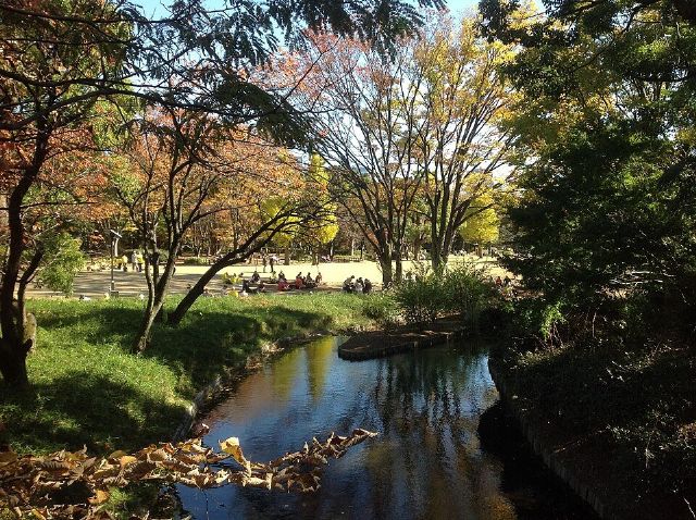 Kitanomaru Park — view 3.