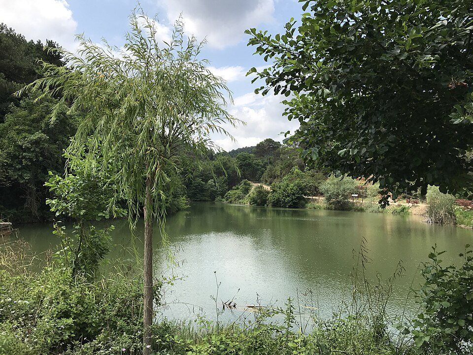 Atatürk Urban Forest — view 1.