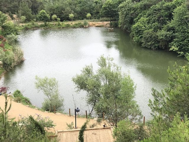 Atatürk Urban Forest — view 2.