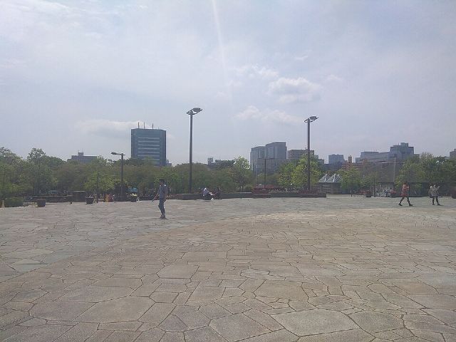 Kiba Park — view 2.