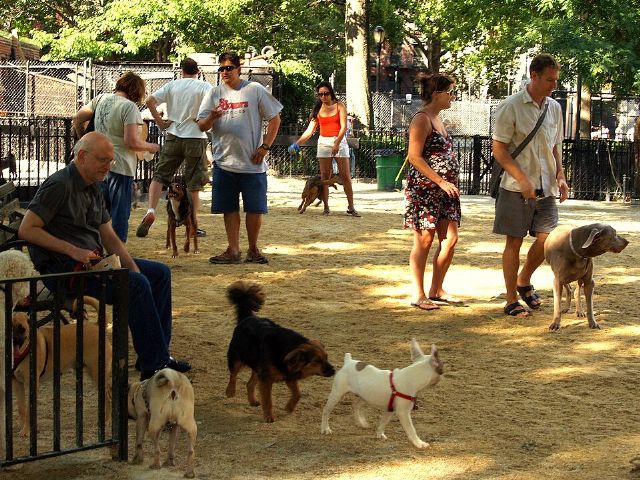 Tompkins Square Park — view 2.