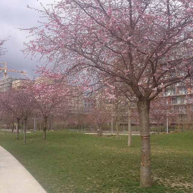 Parc Clichy-Batignolles – Martin-Luther-King — view 2.