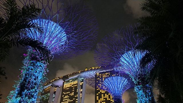 Gardens by the Bay – Outdoor Gardens — view 2.